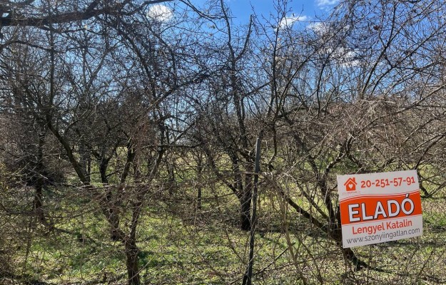 Pilisjászfalu Eladó Telek