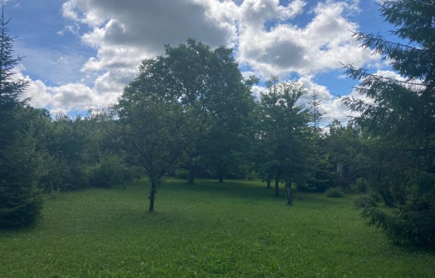 Pilisszántó Eladó Telek