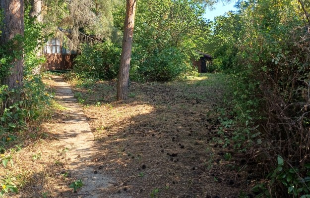 Solymár Eladó Nyaraló