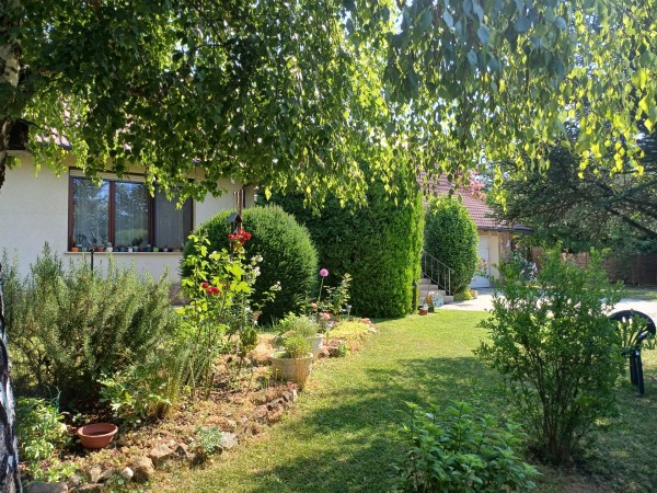 Csobánka ingatlanok