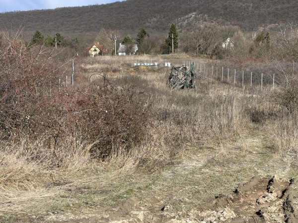 Pilisszántó ingatlanok