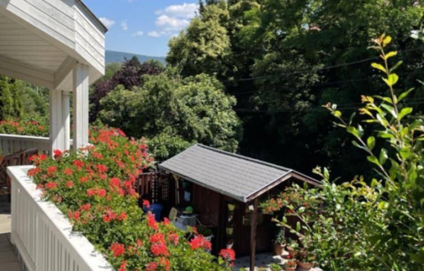 Solymár Eladó Ház