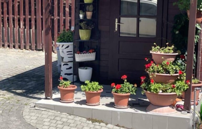 Solymár Eladó Ház