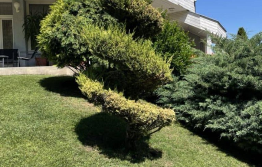 Solymár Eladó Ház