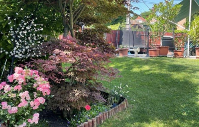 Solymár Eladó Ház