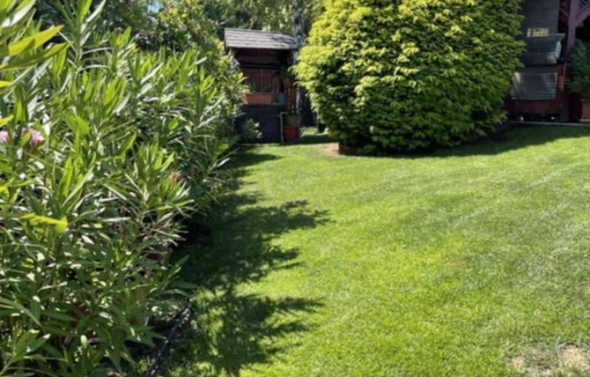 Solymár Eladó Ház