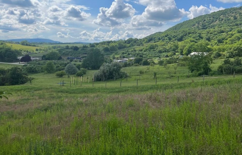 Piliscsaba Eladó Telek