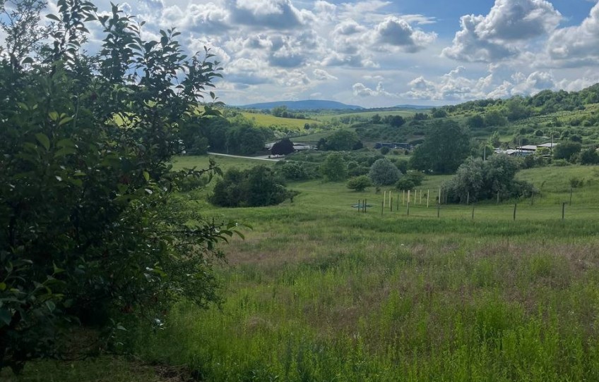 Piliscsaba Eladó Telek