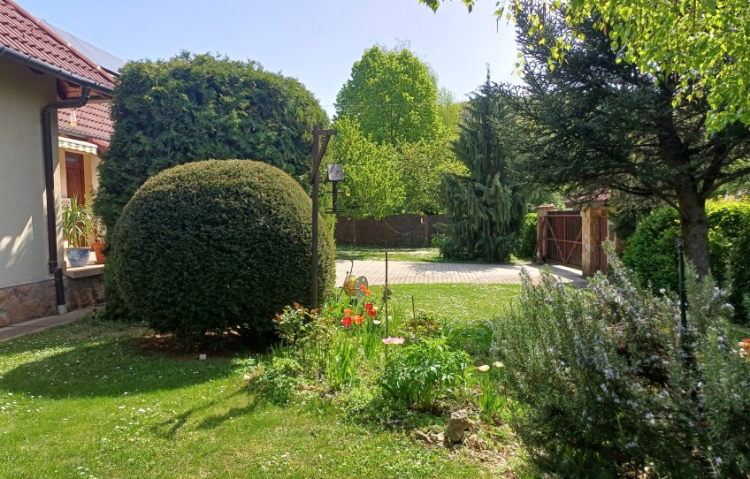 Csobánka Eladó Ház