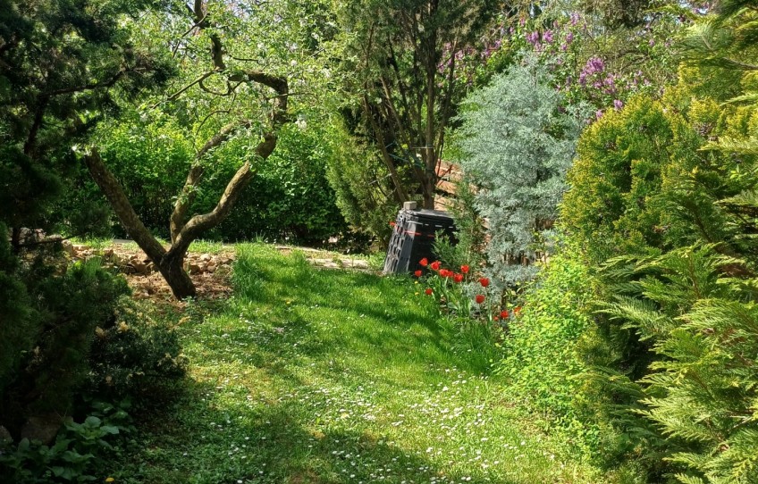 Csobánka Eladó Ház