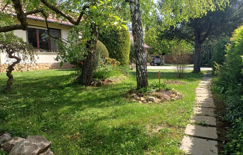 Csobánka Eladó Ház