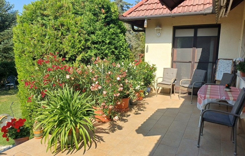 Csobánka Eladó Ház