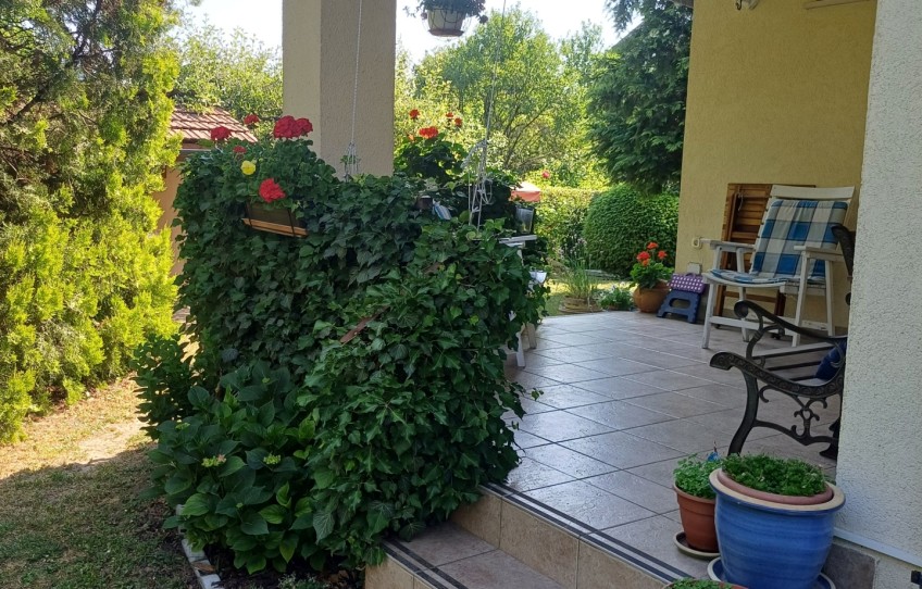 Csobánka Eladó Ház