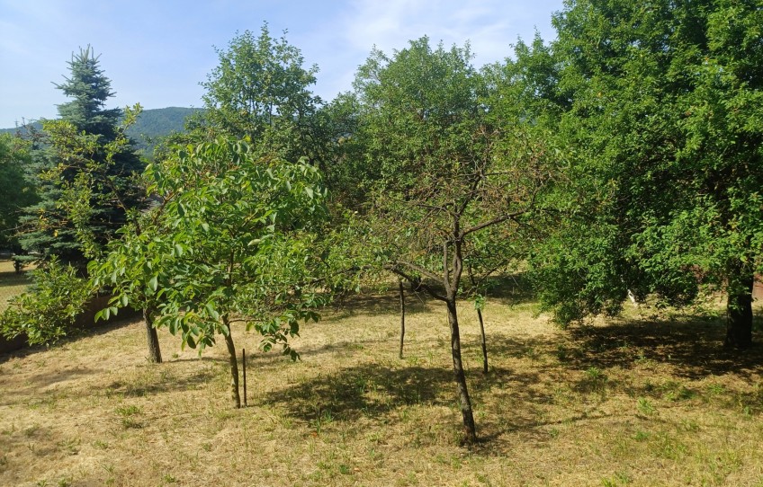 Pilisszentiván Eladó Ház