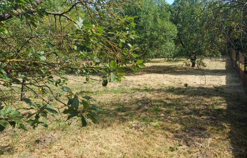 Pilisszentiván Eladó Ház