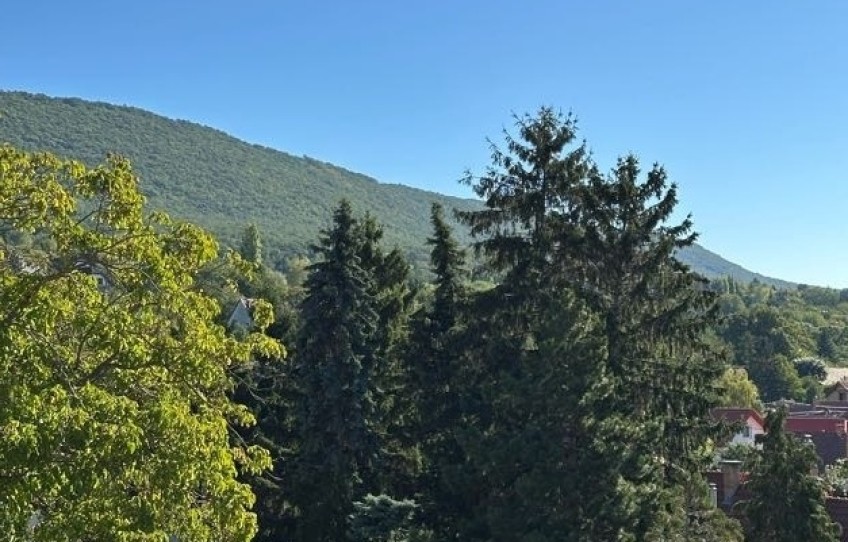 Pilisszántó Eladó Lakás