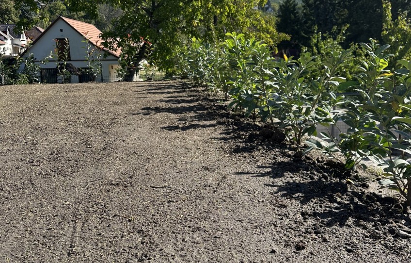 Pilisszántó Eladó Ház