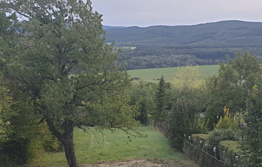 Pilisszántó Eladó Telek