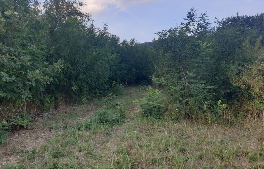 Pilisszántó Eladó Telek