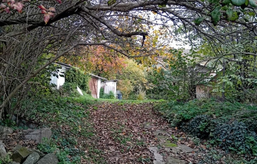 Pilisszántó Eladó Ház