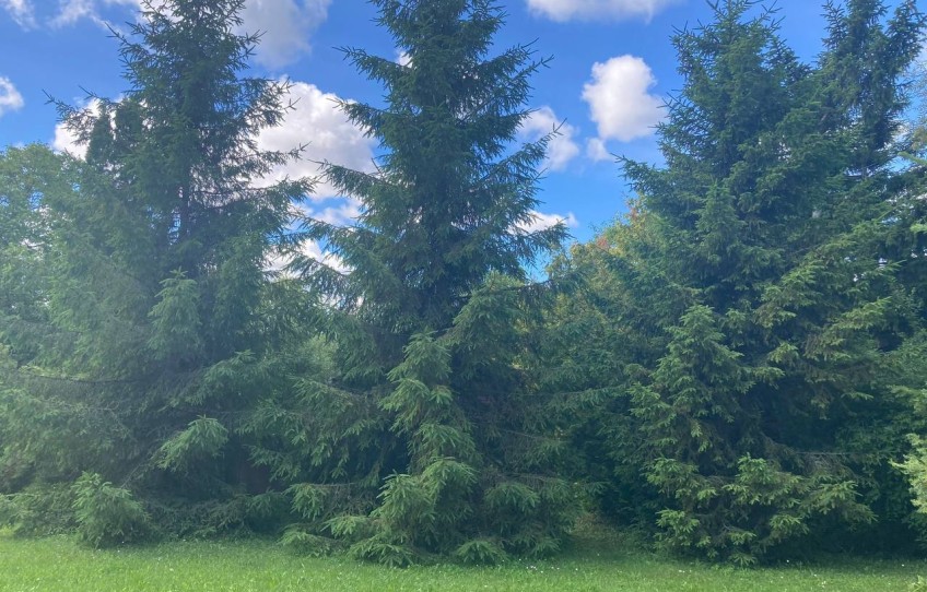 Pilisszántó Eladó Telek