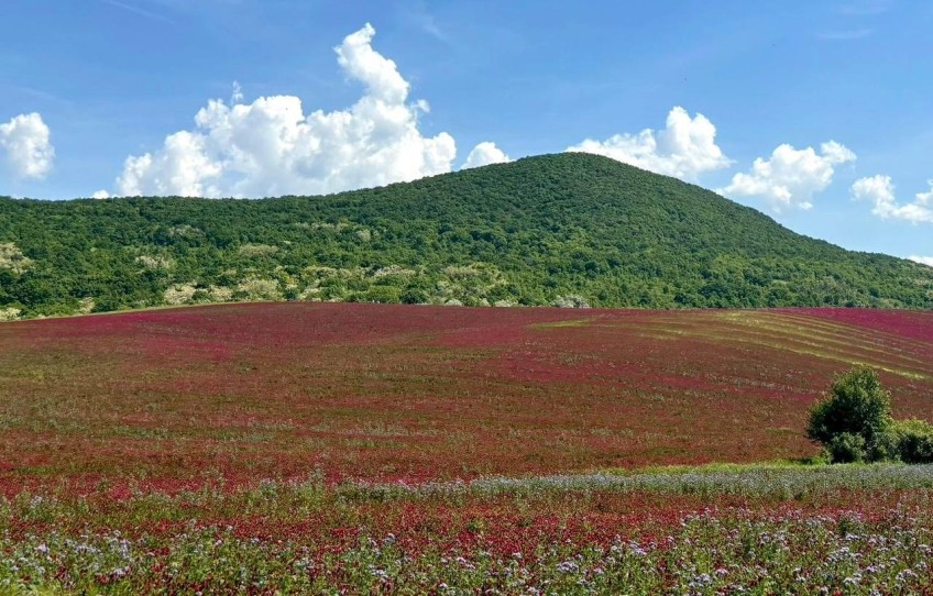 Pilisszántó Eladó Telek