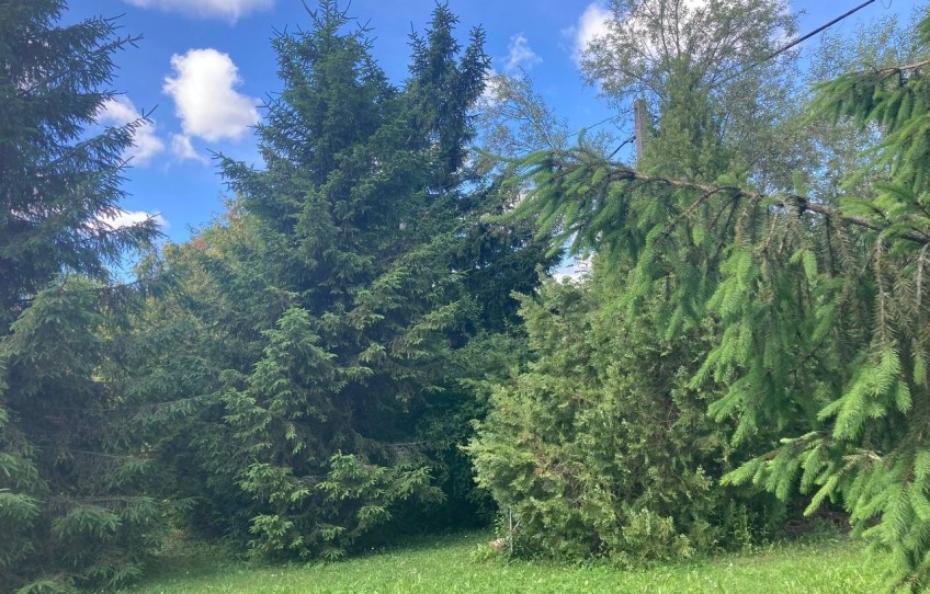 Pilisszántó Eladó Telek