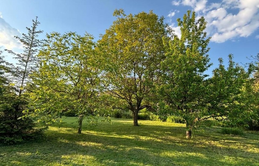 Pilisszántó Eladó Telek