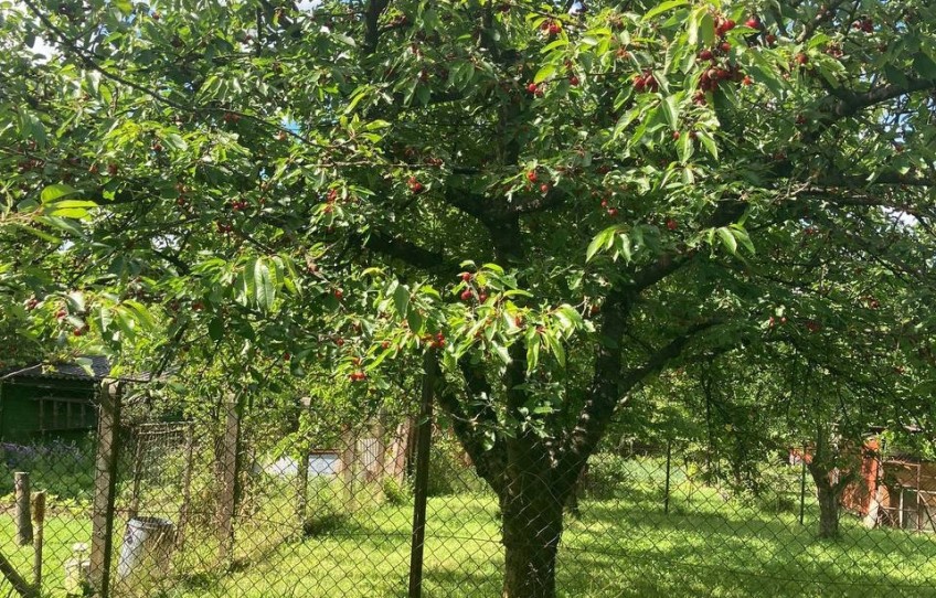 Pilisszántó Eladó Telek