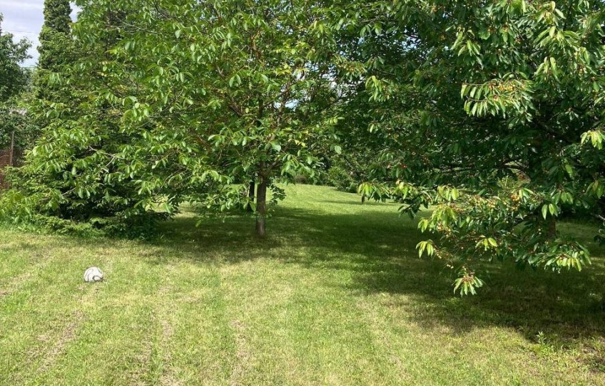 Pilisszántó Eladó Ház