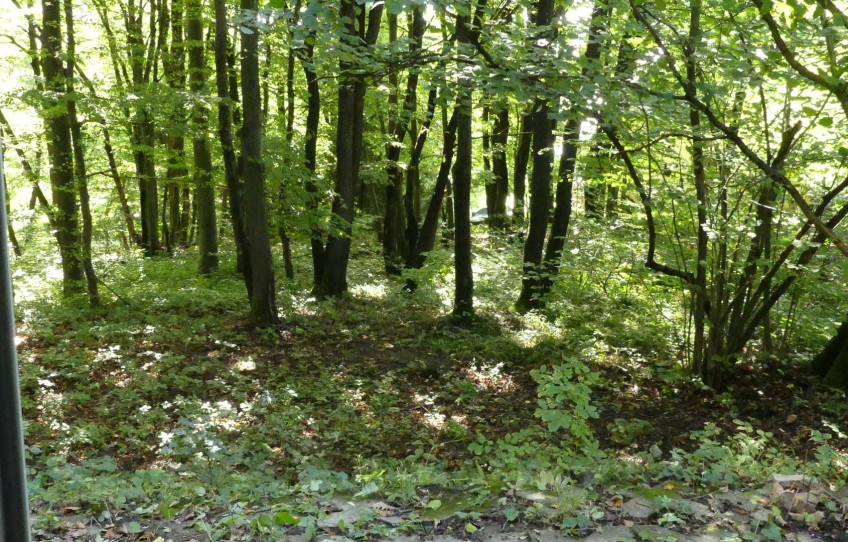 Pilisszentkereszt Eladó Ház