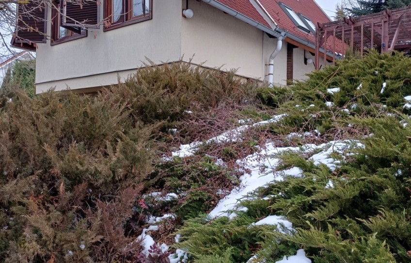 Pilisszántó Eladó Ház