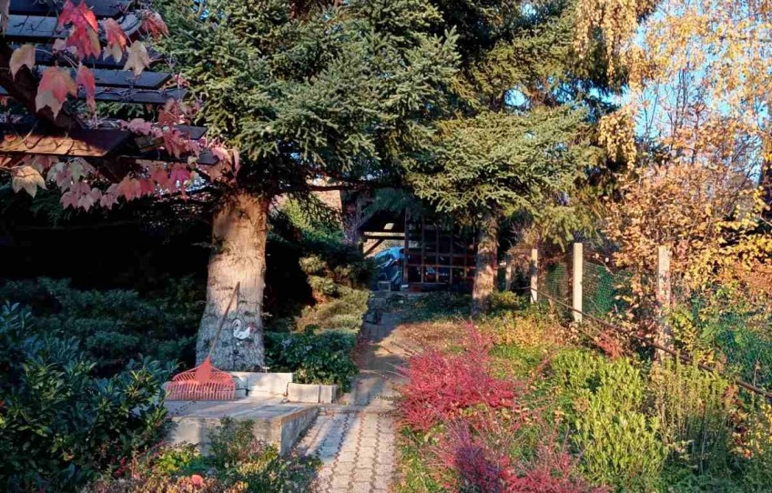 Pilisszántó Eladó Ház