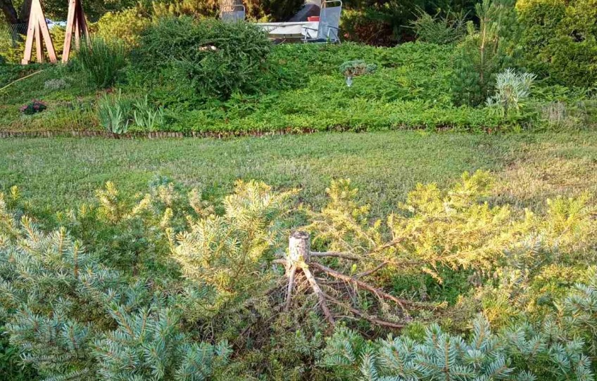 Pilisszántó Eladó Ház