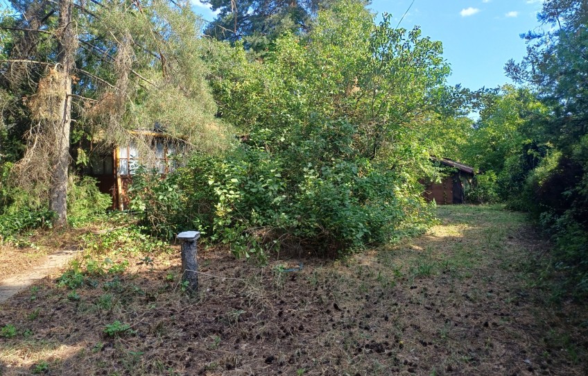 Solymár Eladó Nyaraló