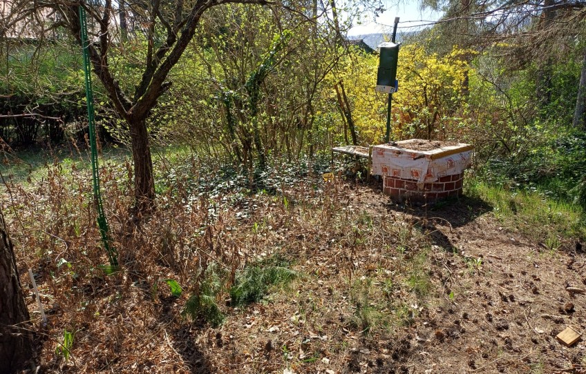 Solymár Eladó Nyaraló