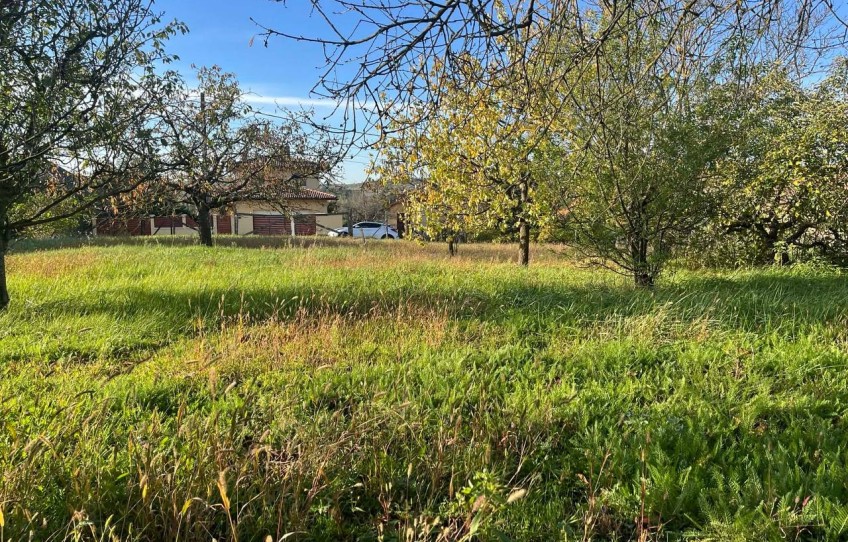 Pilisjászfalu Eladó Telek