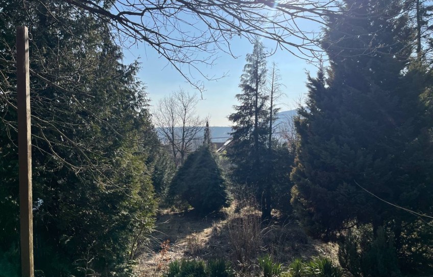 Pilisszentkereszt Eladó Ház