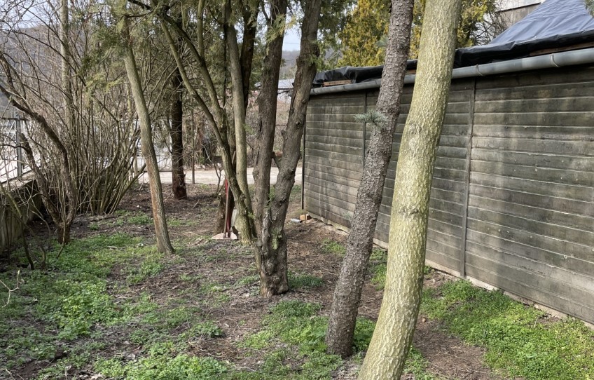 Piliscsaba Eladó Ház