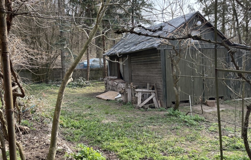 Piliscsaba Eladó Ház