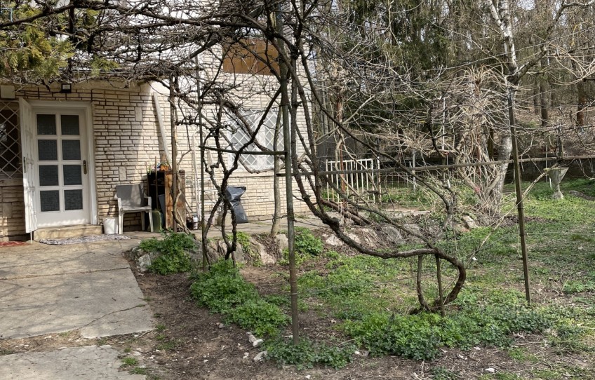 Piliscsaba Eladó Ház