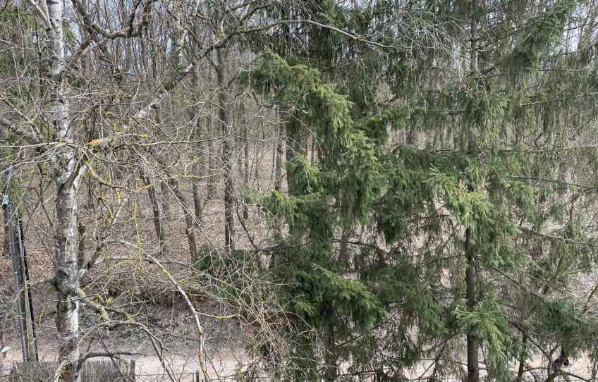 Piliscsaba Eladó Ház