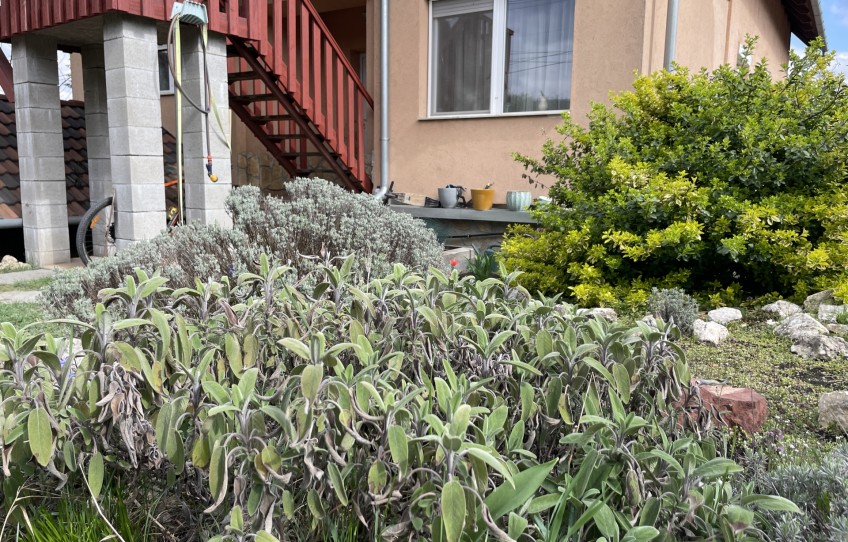 Pilisvörösvár Eladó Ház