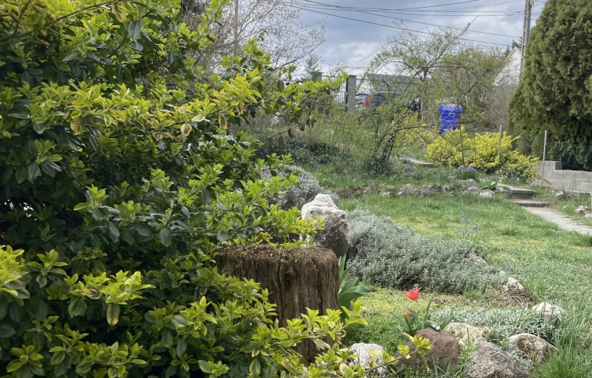 Pilisvörösvár Eladó Ház