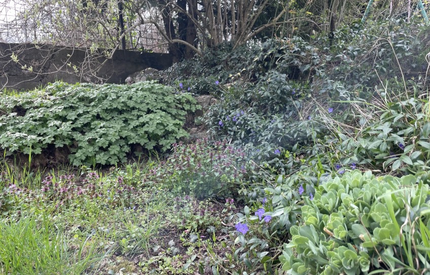 Pilisvörösvár Eladó Ház