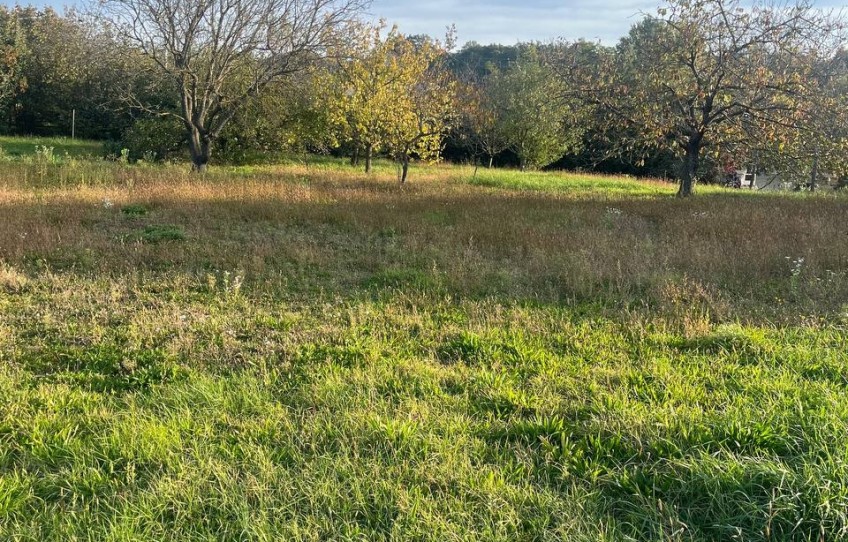 Pilisjászfalu Eladó Telek