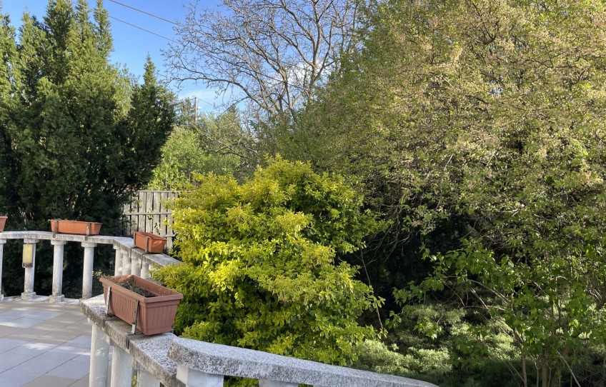 Budapest III. kerület Eladó Ház