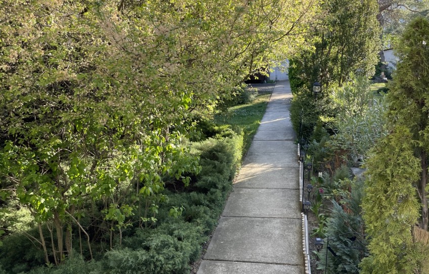 Budapest III. kerület Eladó Ház