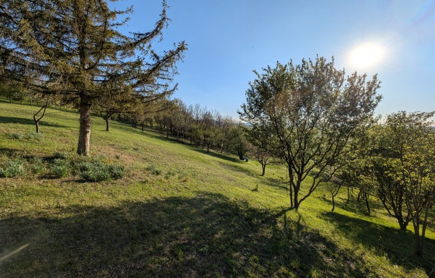 Esztergom Eladó Telek