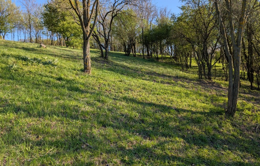 Esztergom Eladó Telek